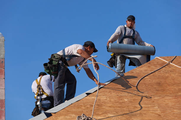 Best Roof Gutter Cleaning  in Sconsin Dells, WI