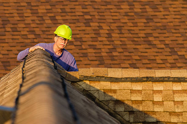 Best Metal Roofing Contractor  in Sconsin Dells, WI