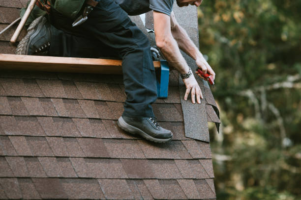 Best Flat Roof Repair Services  in Sconsin Dells, WI